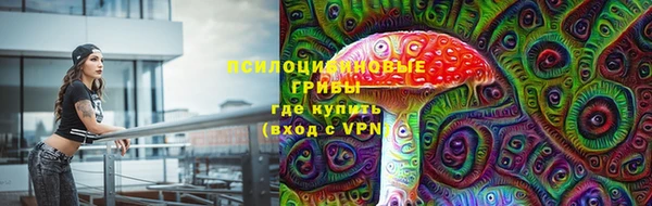 метадон Ельня