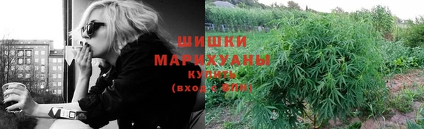 стафф Елабуга